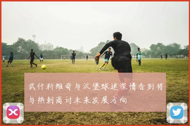 武什科维奇与汉堡球迷深情告别将与热刺商讨未来发展方向