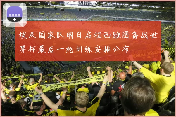 埃及国家队明日启程西雅图备战世界杯最后一轮训练安排公布